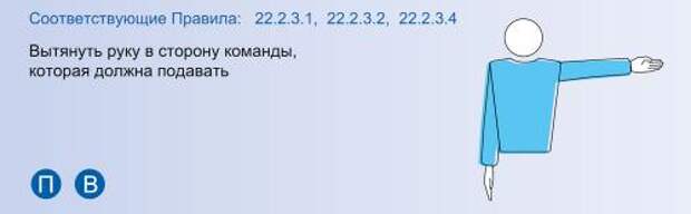 10 основных правил волейбола. Основные правила волейбола кратко для школьников 05