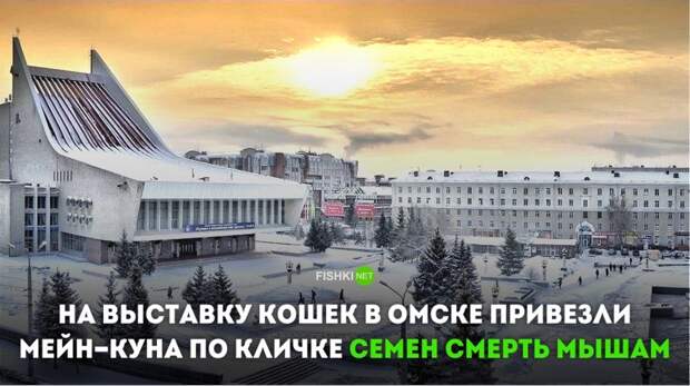 Так вот, кто правительство омской области обрабатывал… новости, омск, прикол, сибирь, юмор