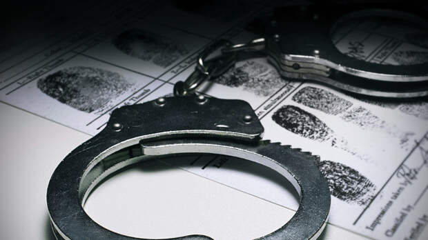 Посольство: во Франции арестованы более 400 россиян