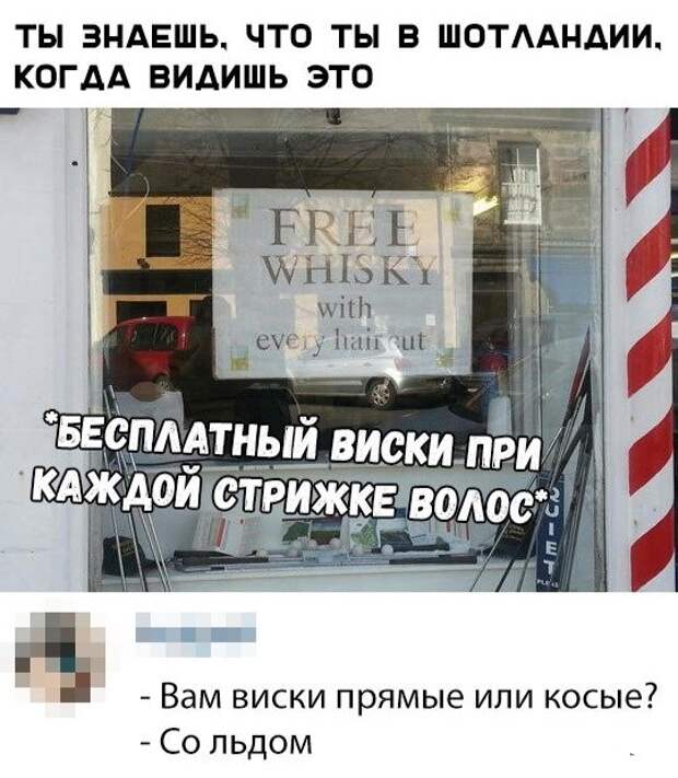 Перлы из социальных сетей на самые актуальные темы Перлы из социальных сетей на самые актуальные темы