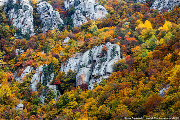 Осень в Крыму Осень в Крыму