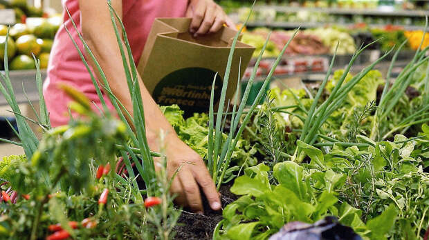 3061399-poster-p-1-at-this-brazilian-supermarket-customers-pick-produce-from-a-garden