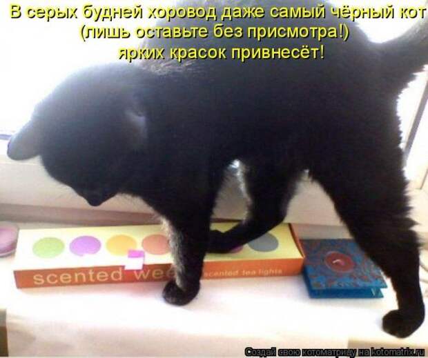 Мысли вслух :)