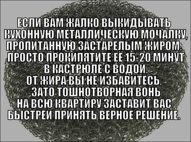 Смешные картинки с подписями (20 фото)