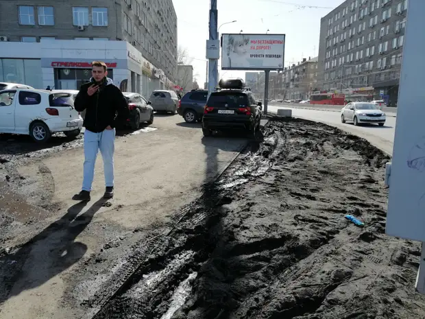 НГС раскрыл причину пыли — Новосибирск атаковали толпы истребителей газонов (смотрите где)