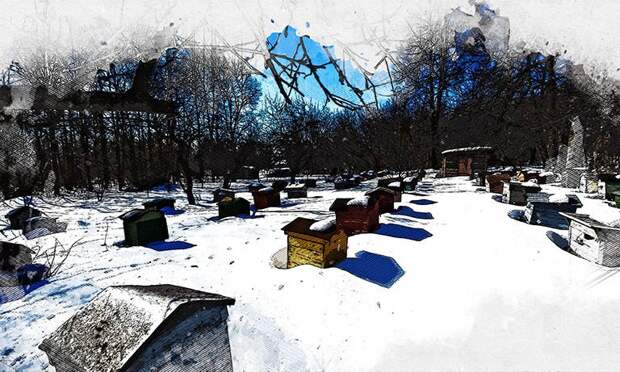 Под Орлом пчеловоды необычайно рано открыли сезон