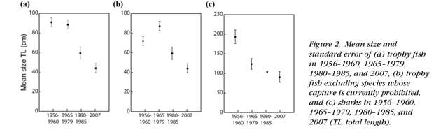 Долговременное уменьшение линейных размеров уловов там же по данным измерений. Из: McLeannon, 2009, op.cit.