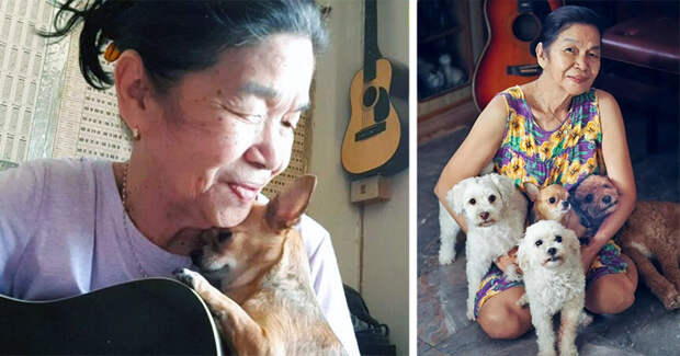 Пожилая тайская певица покоряет Youtube на пару со своим чихуахуа домашние животные, животные, мило, музыка, песни, собаки, трогательно, чихуахуа