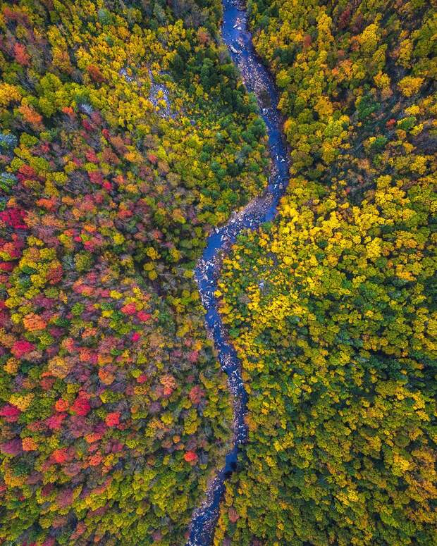Красота осени в разных штатах Америки
