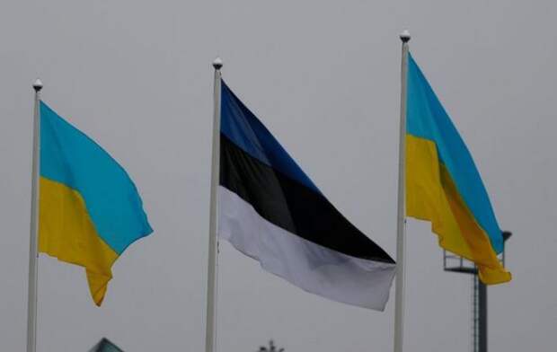 Киев занёс Эстонию и Латвию в список офшорных зон