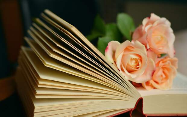 Книга. Фото: pixabay.com