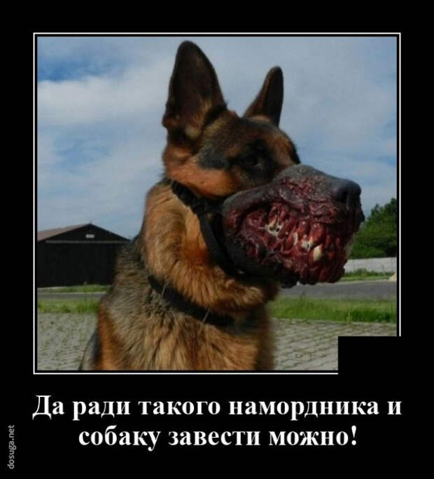 смешной демотиватор