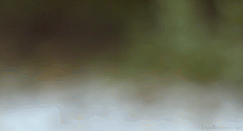 500x269 px 500x269 px