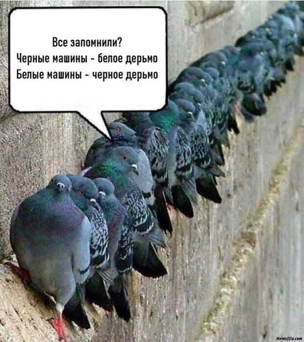 Жизненно... Жизненно...