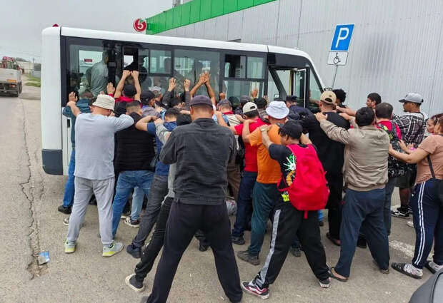 Поворот не туда: как связана миграционная политика с ростом сексуального насилия и преступности со стороны мигрантов