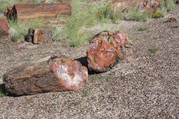 Тысячелетний дом Petrified Forest, Тысячелетний, дом