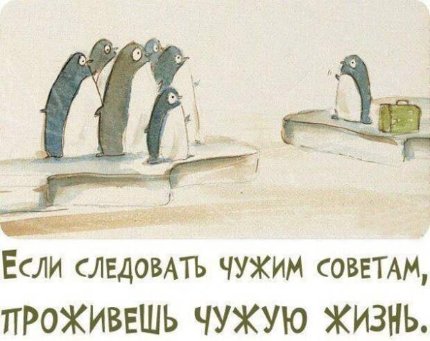 Мудрые мысли в прикольных картинках Мудрые мысли в прикольных картинках