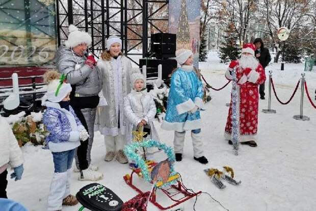 В тамбовском горсаду состоялся первый парад новогодних саней