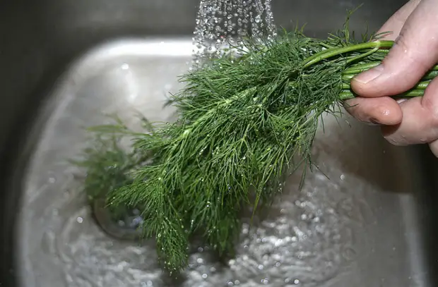 Сохраняем зелень свежей максимально долго. Вместо 2-3 дней не увядает неделями