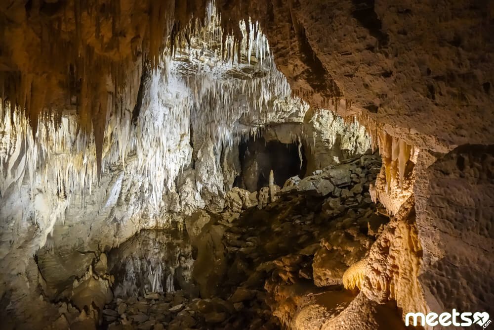 Waitomo Caves, New Zealand Waitomo Caves