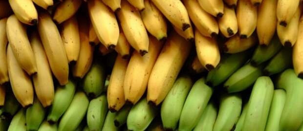 Банан (Кluai)