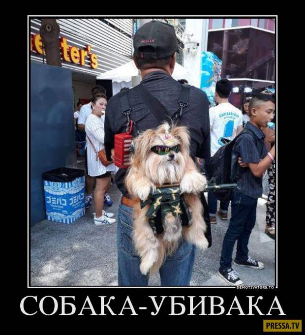 Демотиваторы (42 фото)