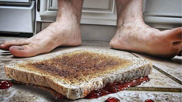 Правило пяти секунд, или быстро поднятое не считается упавшим интересное, мифы, наука