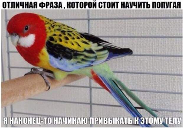 Смешные анекдоты-новинки (17 шт)