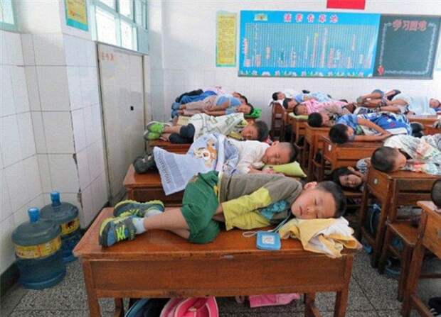 Фотография: Строго по расписанию: почему китайцы едят только в 12 дня и спят на рабочем месте №6 - BigPicture.ru