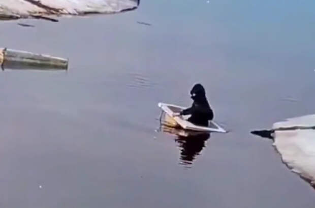 В Тюменской области спасли мальчика, плавающего по реке в ванной