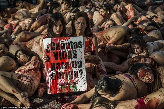 Голый протест зоозащитников в Испании