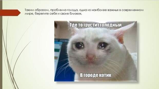 Без котиков даже презентации не обходятся Без котиков даже презентации не обходятся