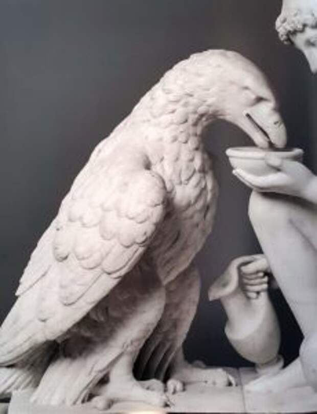 Торвальдсен. Ганимед поит орла. Мрамор. 1817 (модель). Фрагмент. Музей Торвальдсена. Копенгаген