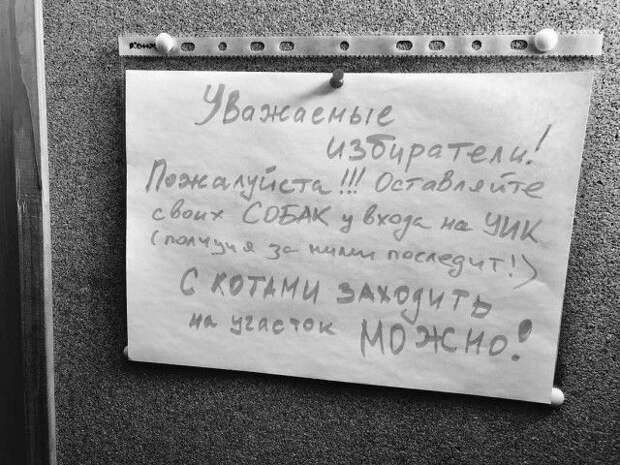 Подборка картинок. Дневной выпуск (25 фото)