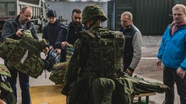 Леонков раскрыл «наглую ложь» НАТО относительно военных учений в Эстонии