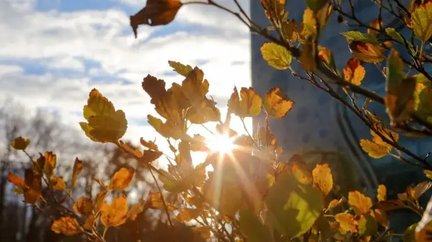 Потепление ожидается в европейской России 17 сентября