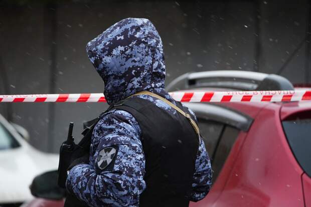 Тело 11-летней девочки нашли под окнами многоэтажки в Екатеринбурге