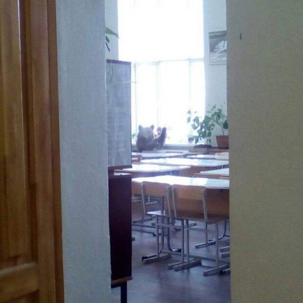 И пусть другие страны нам завидуют! зима, прикол, россия, ситуация, фото, юмор