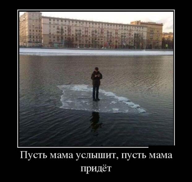 Забавные демотиваторы на пятницу (11 фото) Забавные демотиваторы на пятницу (11 фото)