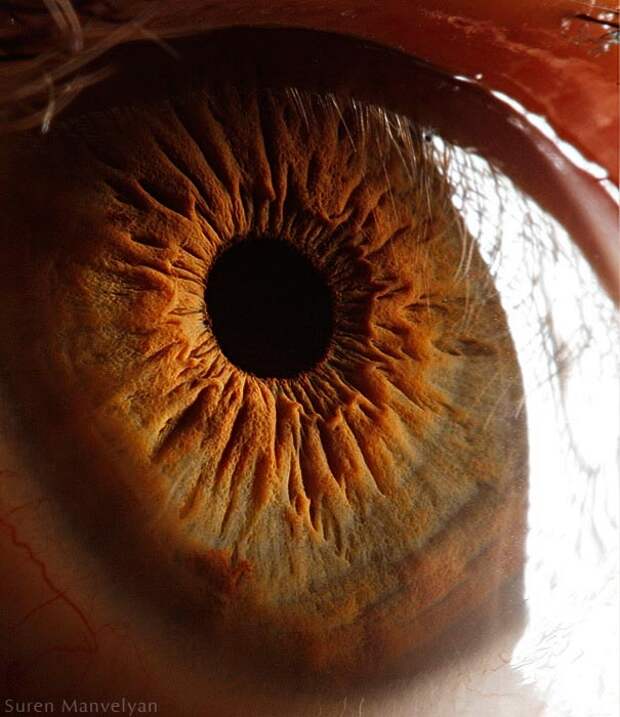 eye-macro-photo-7