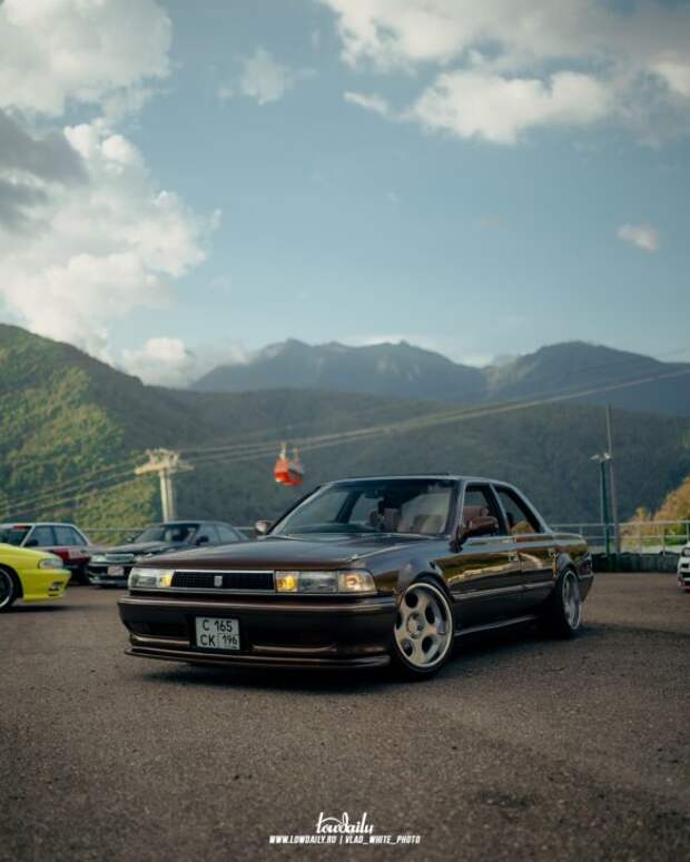 Lowdaily