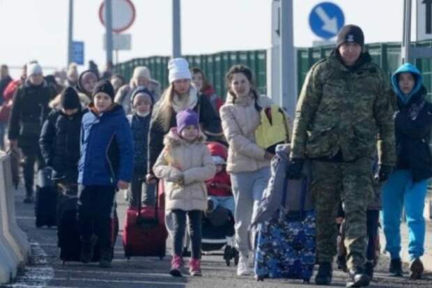 На Украине пытаются отстранить от выборов переселенцев и мигрантов