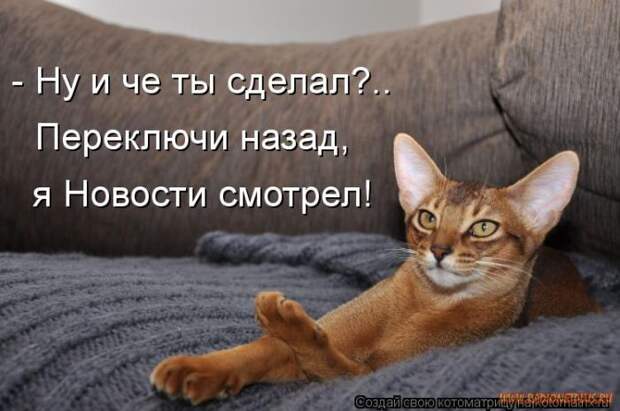 Уфф!!! Ну наконец-то! Котоматрицы великолепные, каждая с улыбкой и хорошим настроением!