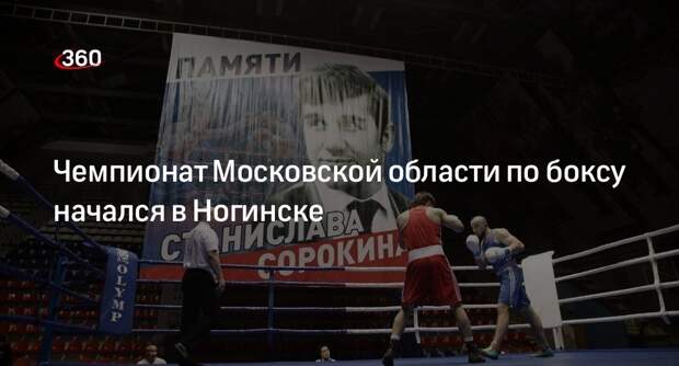 Чемпионат Московской области по боксу начался в Ногинске