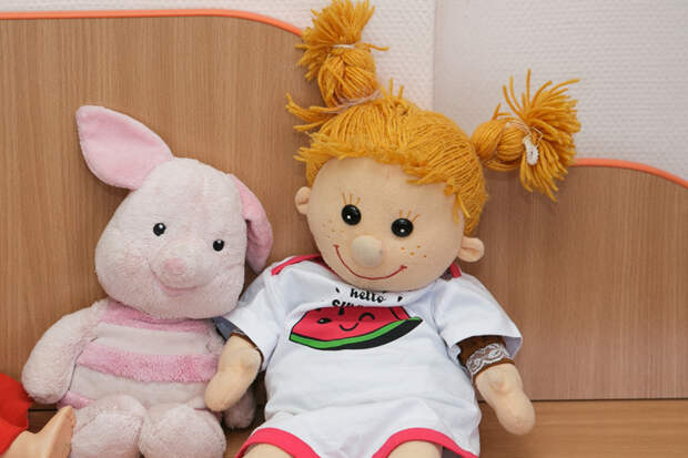 Перечень категорий детей-сирот на обеспечение жильем расширяют в НСО