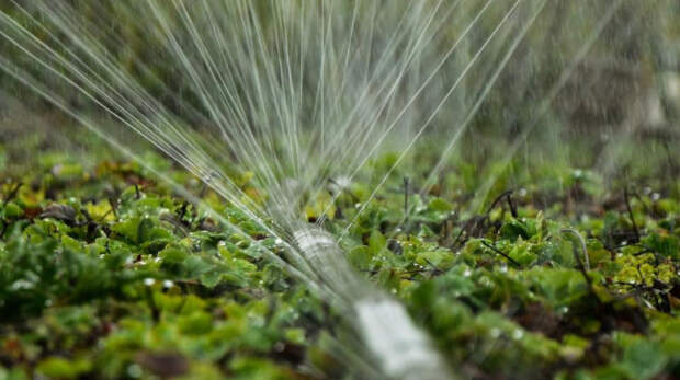 На поддержку мелиораторов в Крыму в 2026 году направят 227,7 млн рублей