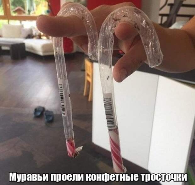 Мир никогда не прекратит удивлять нас Мир никогда не прекратит удивлять нас