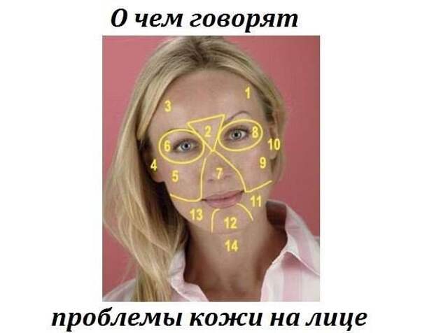 1238121_622230127826489_1381222759_n