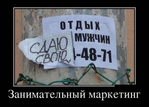 Подборка веселых и забавных демотиваторов для настроения (11 фото)