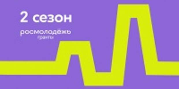 Шесть проектов из Ивановской области стали победителями грантового конкурса Росмолодёжи